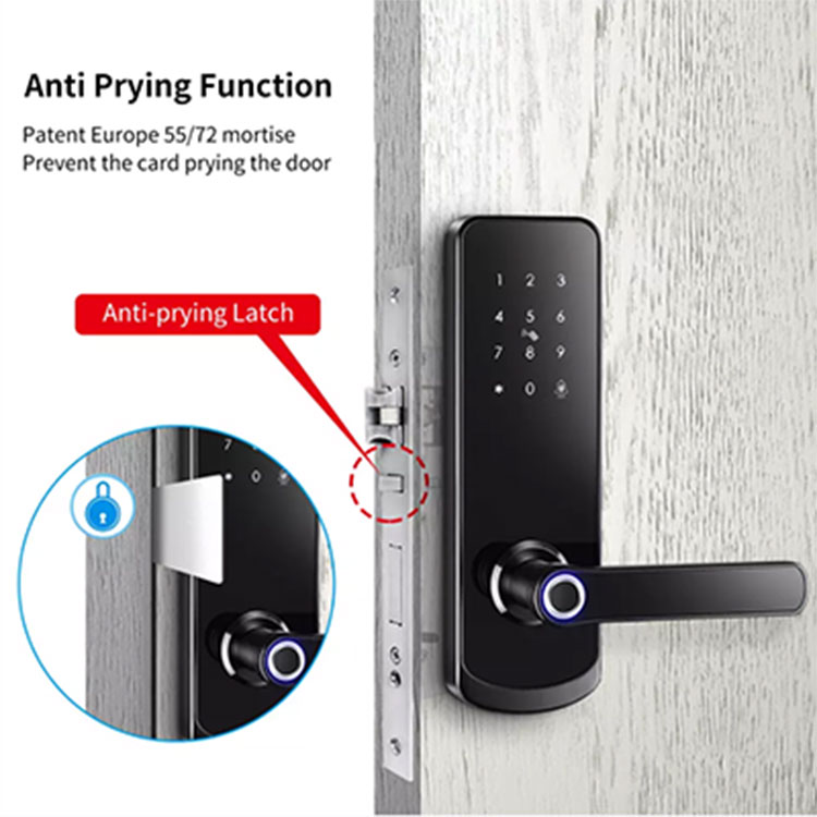 Biometric Fingerprint Smart Door Lock — FM 230N