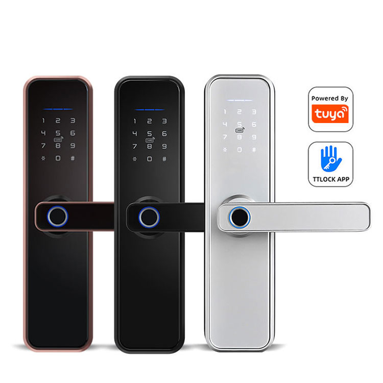 Biometric Smart Lock — FM 550