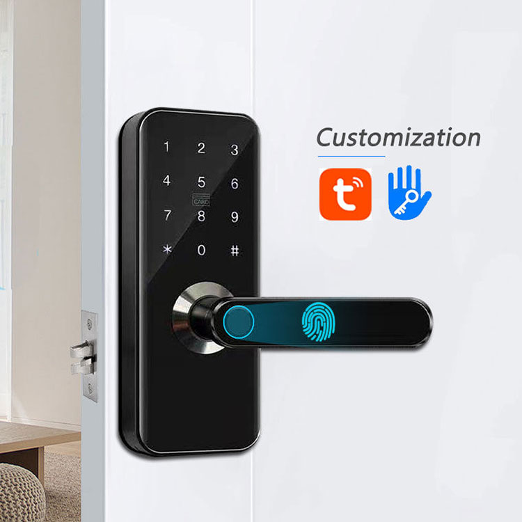 Fingerprint Smart Door Lock—FM 820